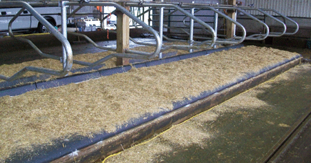 Pasture gel Mat