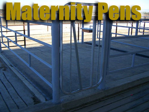 Maternity stalls