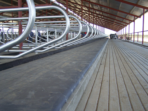 cow mattress top cover